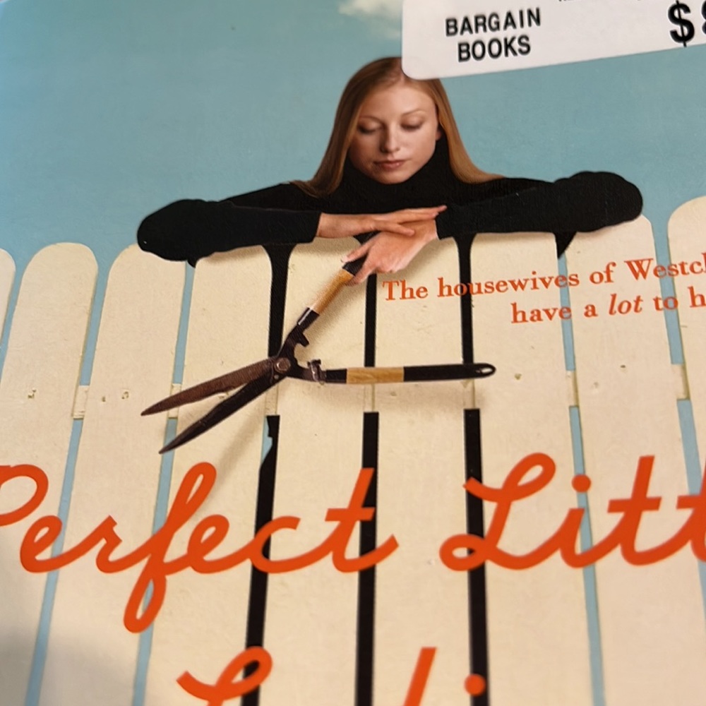 Perfect Little Ladies a novel by Abby Drake - Picture 11 of 11